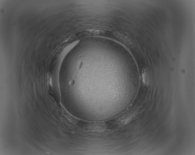 X0000068811347200605121240