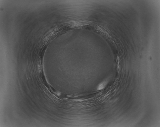 X0000068811348200605121240