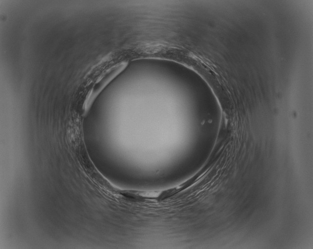 X0000068811349200605121240