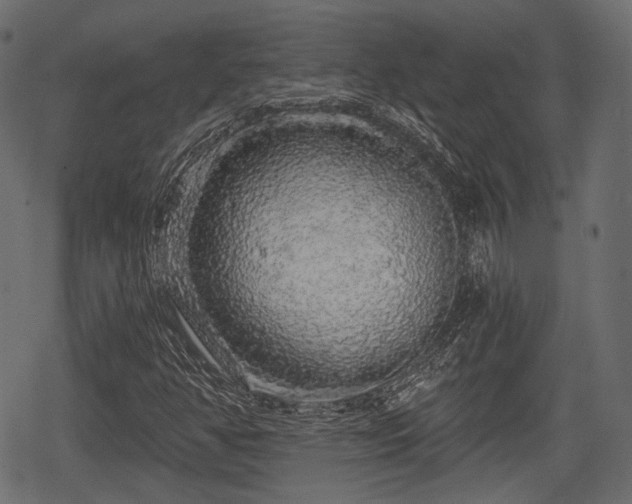 X0000068811350200605121240