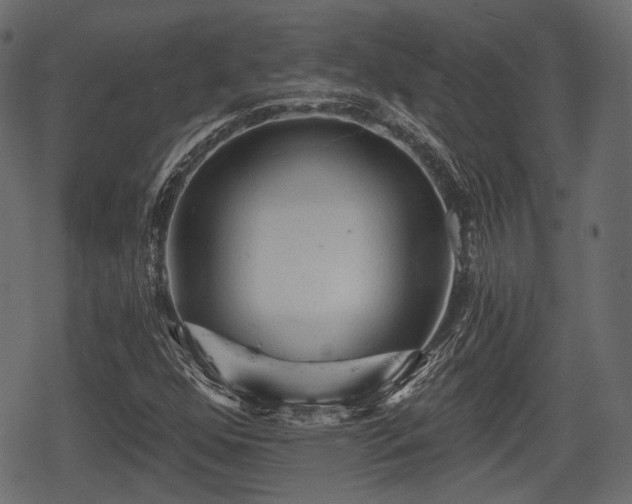 X0000068811352200605121240