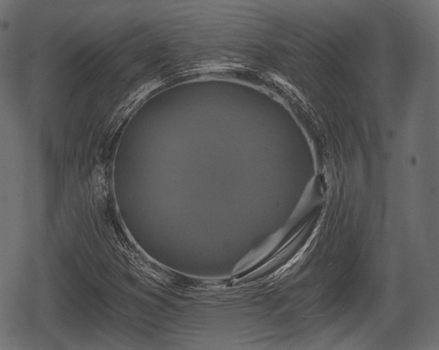 X0000068811353200605121240