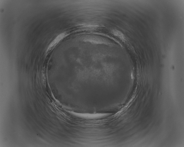 X0000068811354200605121240