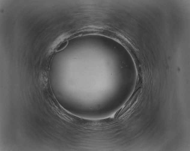 X0000068811355200605121240