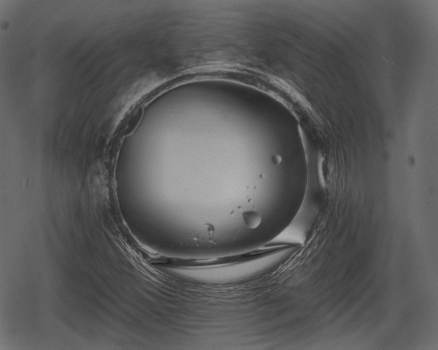 X0000068811356200605121240