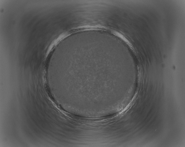 X0000068811357200605121239