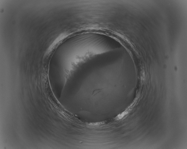 X0000068811359200605121239