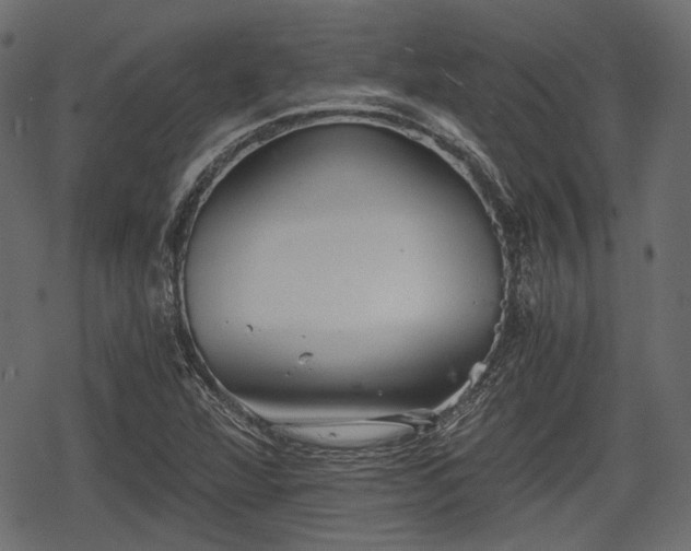 X0000068811360200605121239