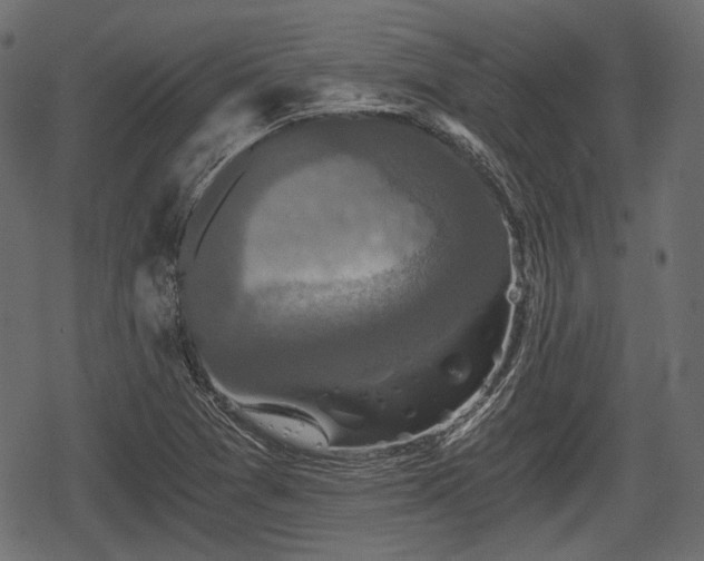 X0000068811361200605121239