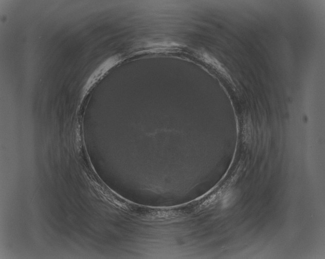 X0000068811362200605121239