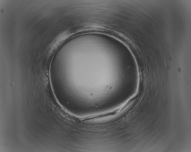 X0000068811363200605121239