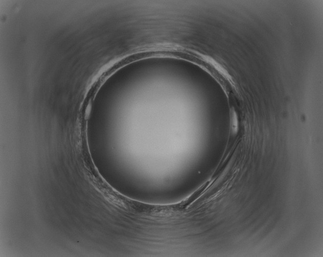 X0000068811364200605121239