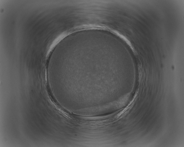 X0000068811365200605121239