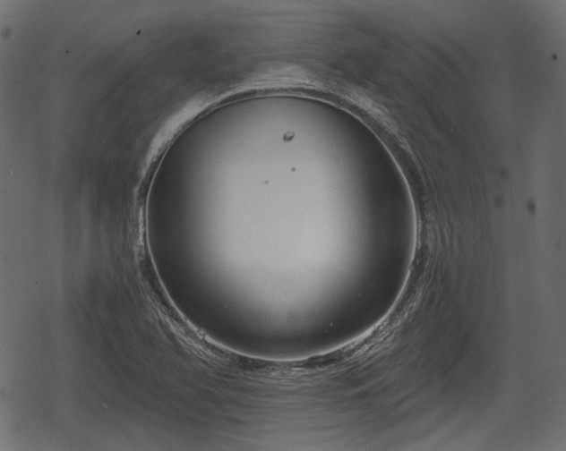 X0000068811366200605121239