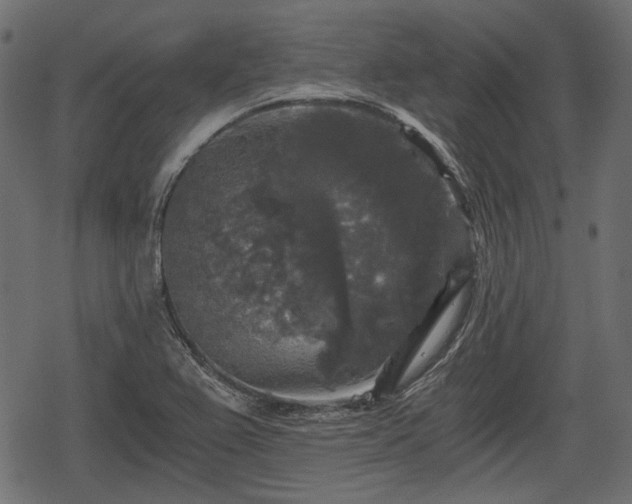 X0000068811367200605121239