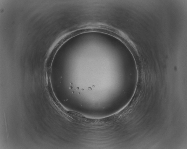 X0000068811368200605121239