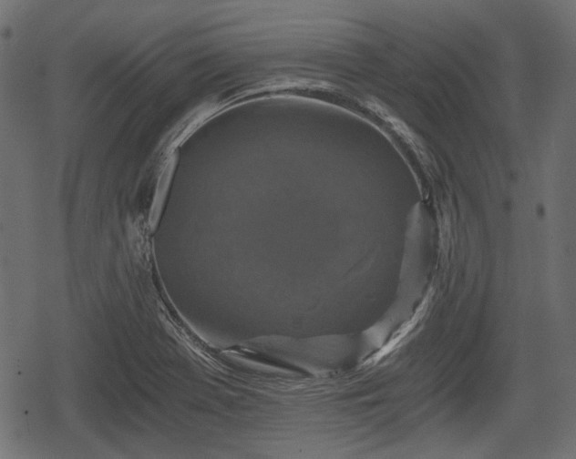 X0000068811369200605121239