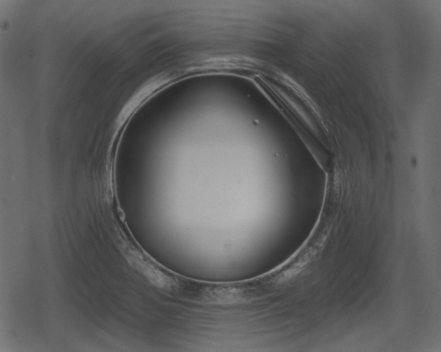 X0000068811370200605121239