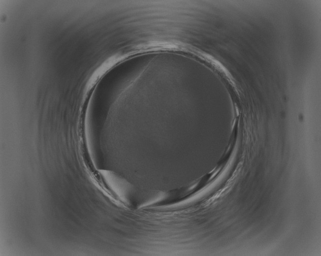 X0000068811373200605121239