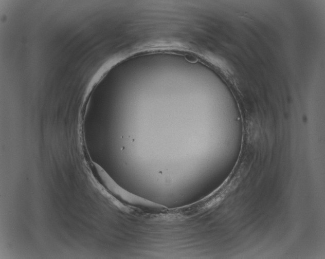 X0000068811374200605121239