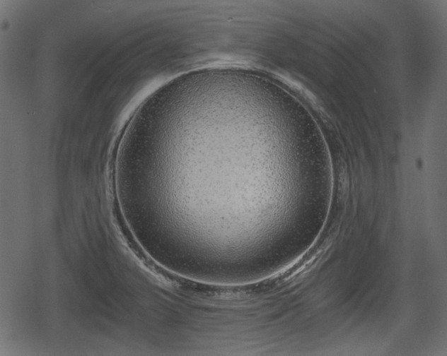 X0000068811375200605121239