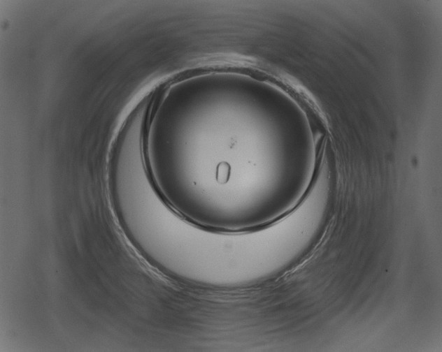 X0000068811376200605121239