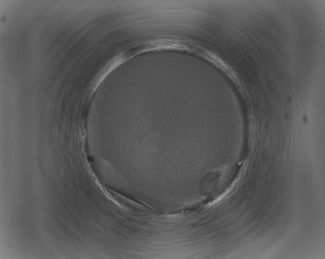 X0000068811377200605121239