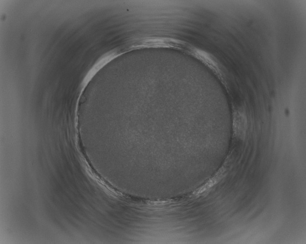 X0000068811378200605121239