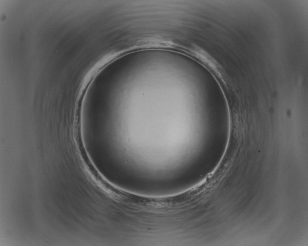 X0000068811379200605121239