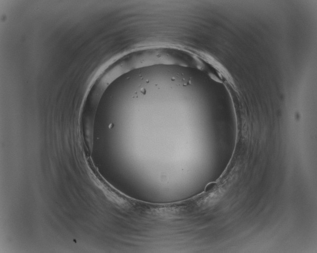 X0000068811380200605121239