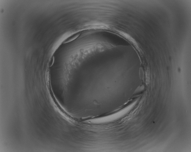 X0000068811383200605121239