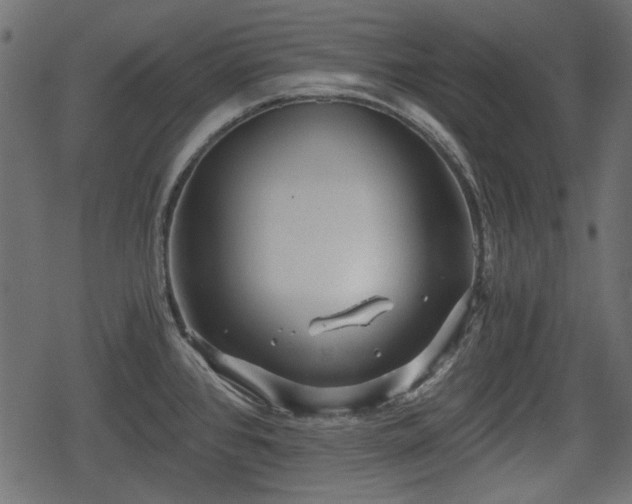 X0000068811384200605121239