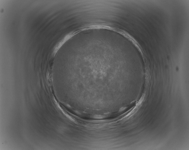 X0000068811385200605121239