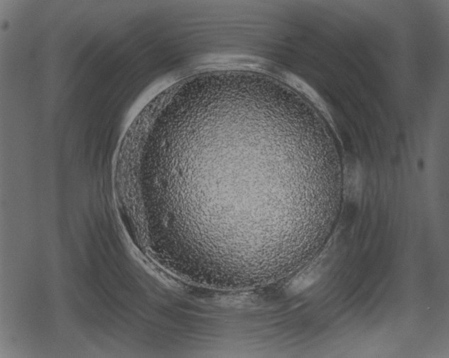 X0000068811386200605121239