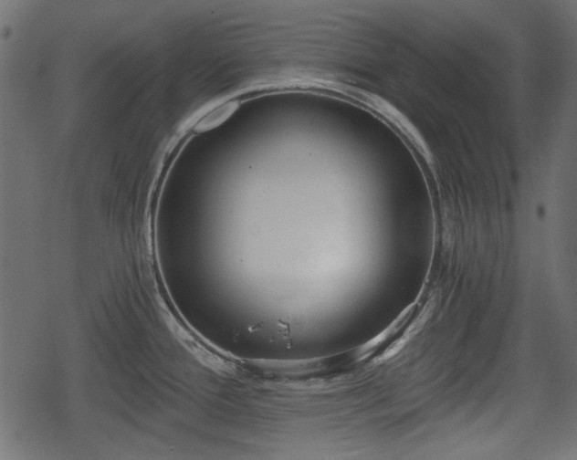 X0000068811388200605121239