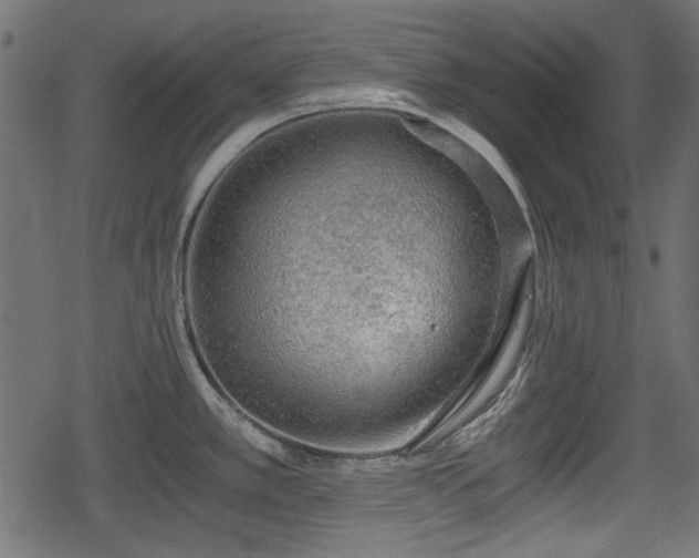 X0000068811389200605121239