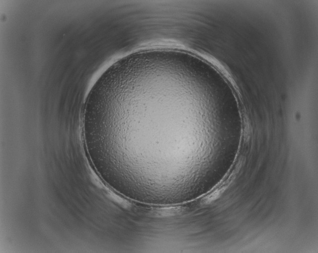 X0000068811390200605121239