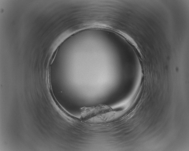 X0000068811391200605121239