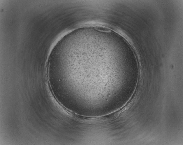 X0000068811392200605121239