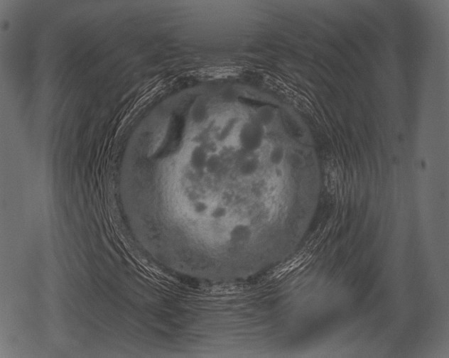 X0000068811393200605121238