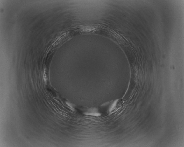 X0000068811394200605121238