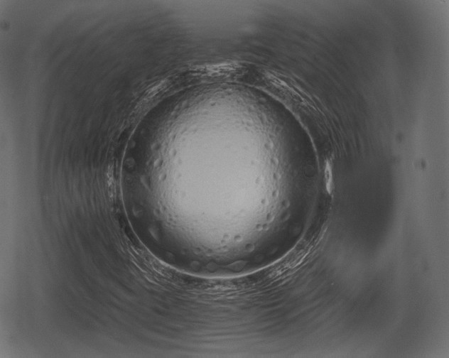 X0000068811395200605121238