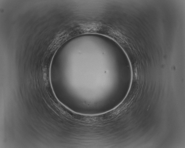 X0000068811396200605121238