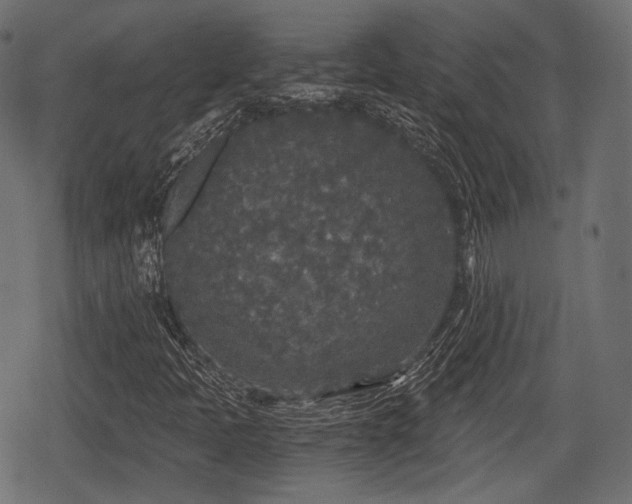 X0000068811397200605121238