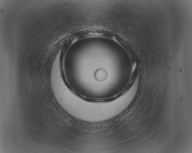 X0000068811398200605121238