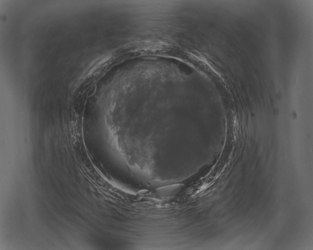 X0000068811399200605121238