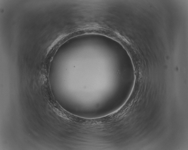 X0000068811400200605121238