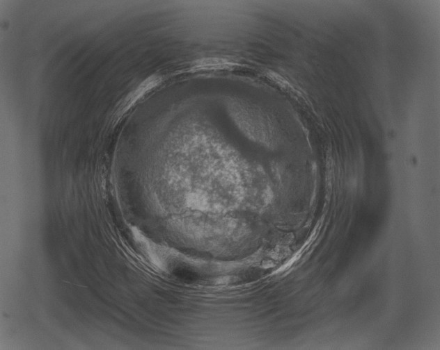 X0000068811401200605121238