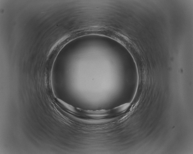 X0000068811402200605121238