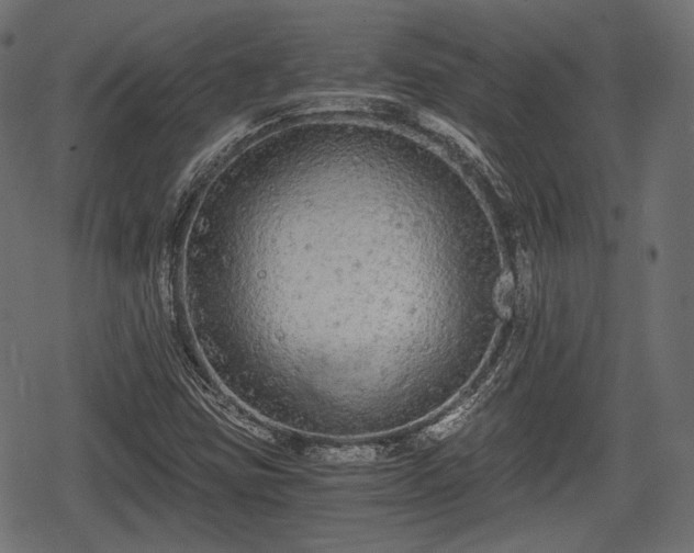 X0000068811403200605121238